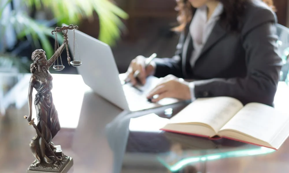 divorce lawyer